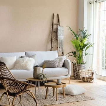 bézs / taupe