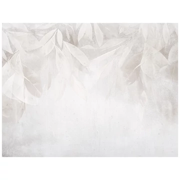 Consalnet-15401-kadamshop-01