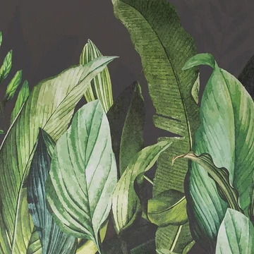 KADAM-Hohenberger-Tropical-Forest-Blackberry-panel-tapeta