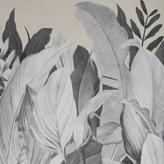 hohenberger-tropical-forest-almond--02